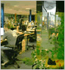 PlusNet office